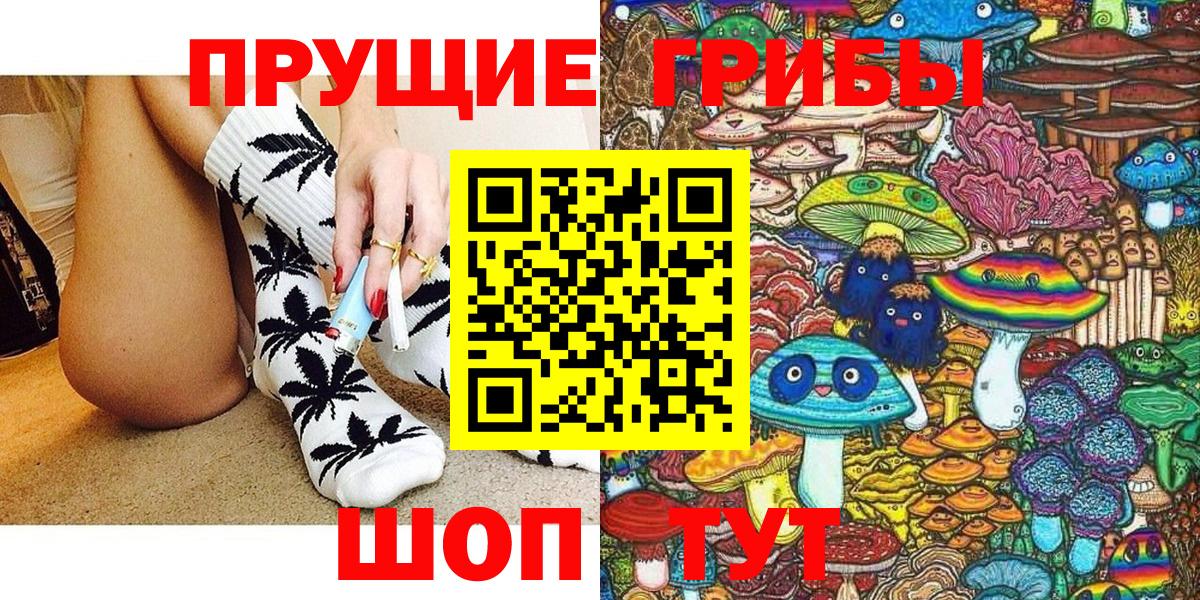 Псилоцибиновые грибы Psilocybe Чайковский