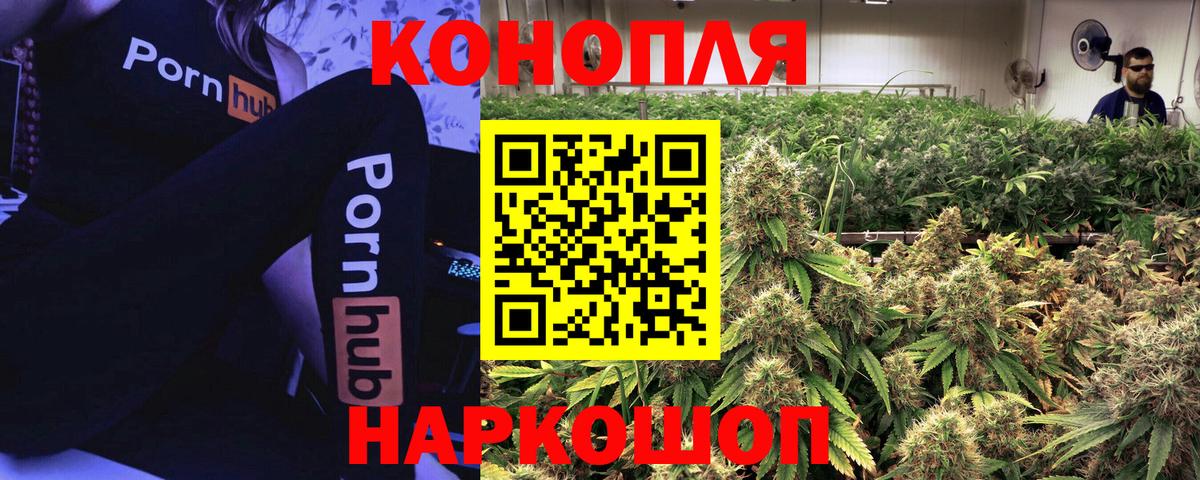 Бошки Шишки план  Каннабис ГИДРОПОН  Вход с VPN  Бошки марихуана конопля  Конопля OG Kush  Чайковский 